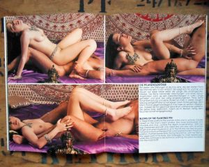 Die Positionen des Kamasutra